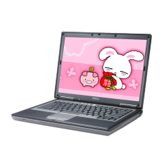 二手戴尔 Latitude D830回收